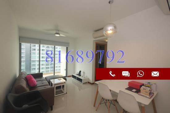 A Treasure Trove thumbnail photo